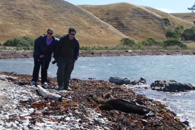 Nieuw-Zeeland 2011 - 1113